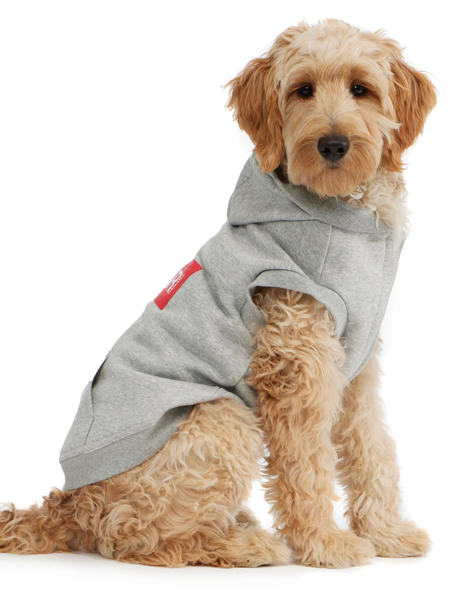 Dash Hoodie for Dogs