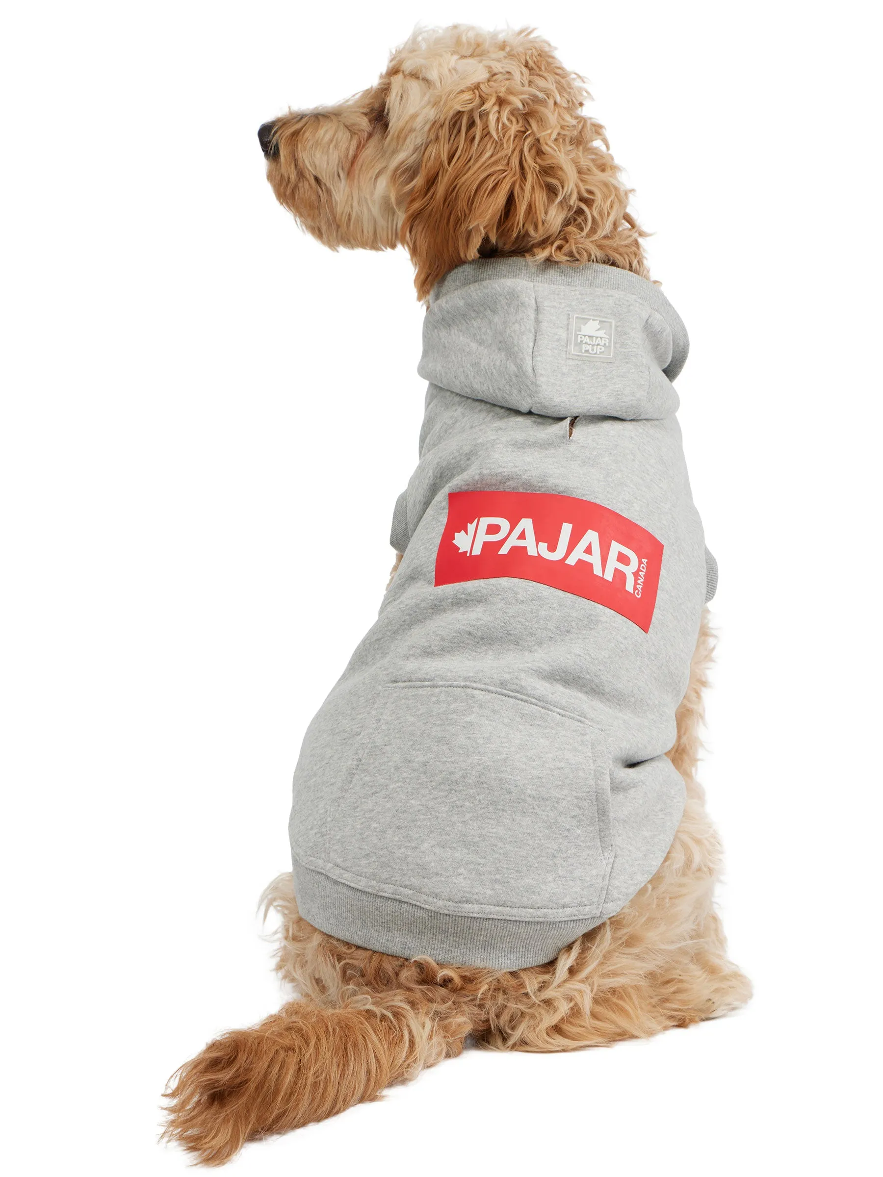 Dash Hoodie for Dogs