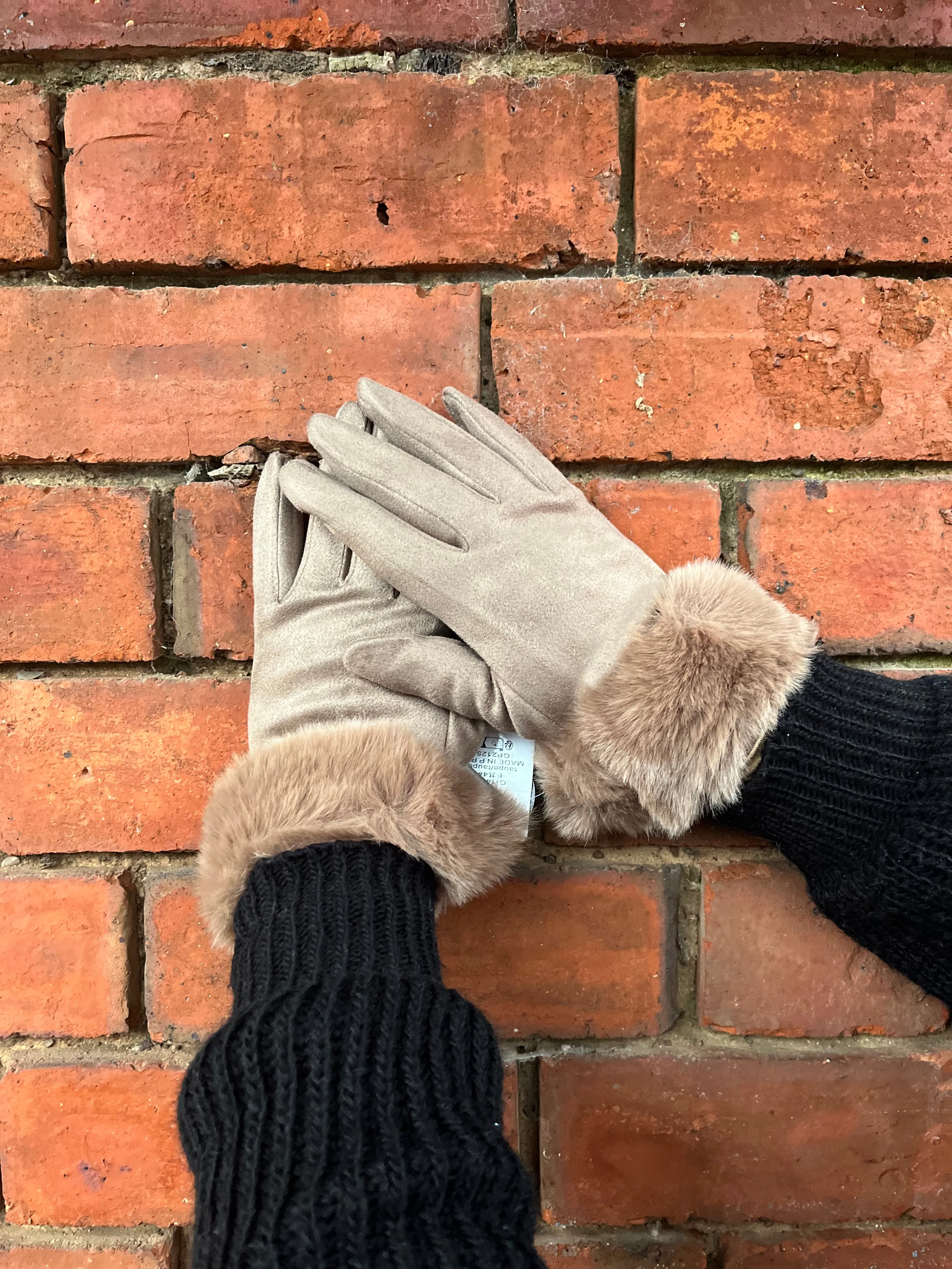 Fur Trim Gloves