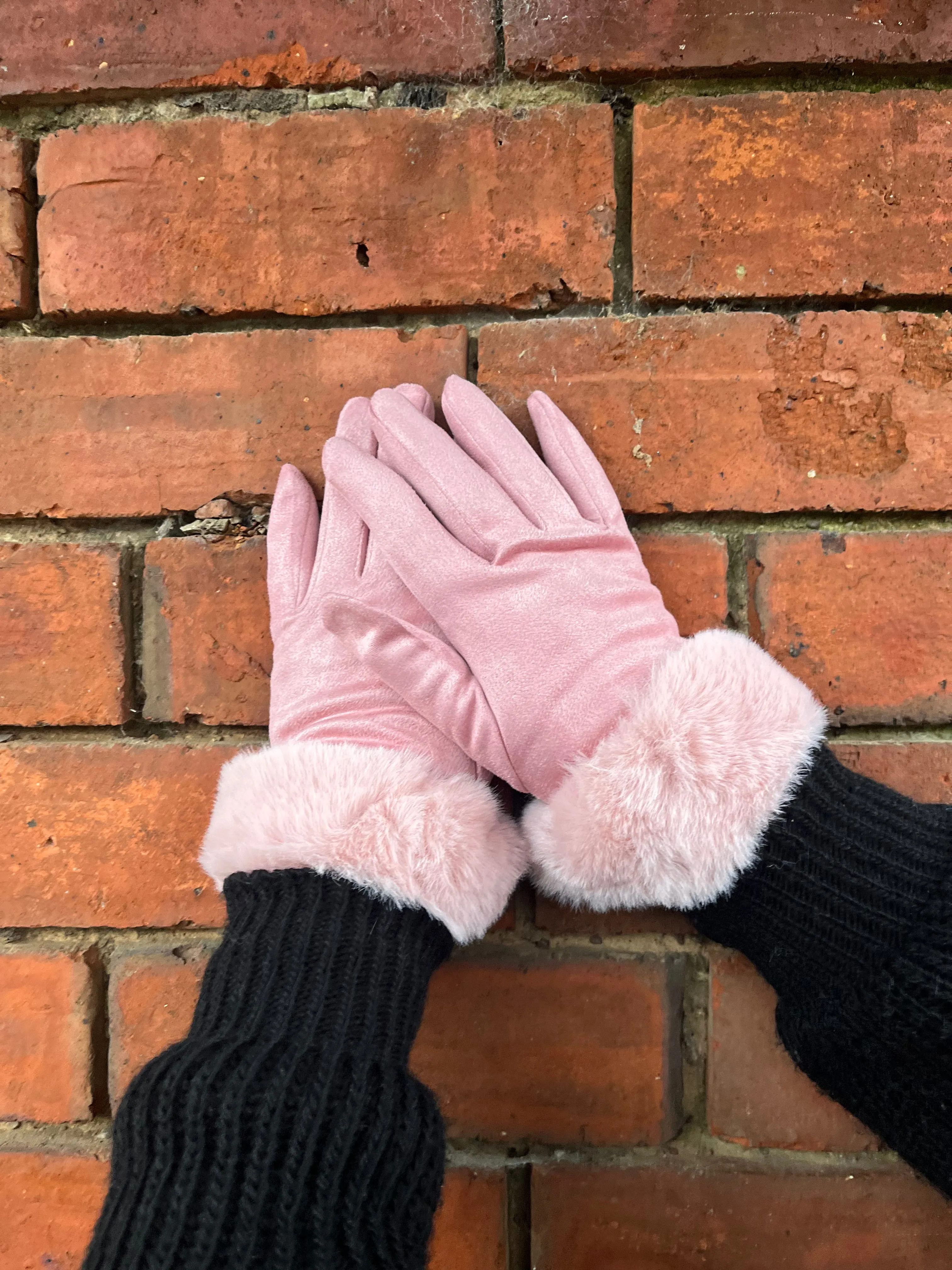 Fur Trim Gloves