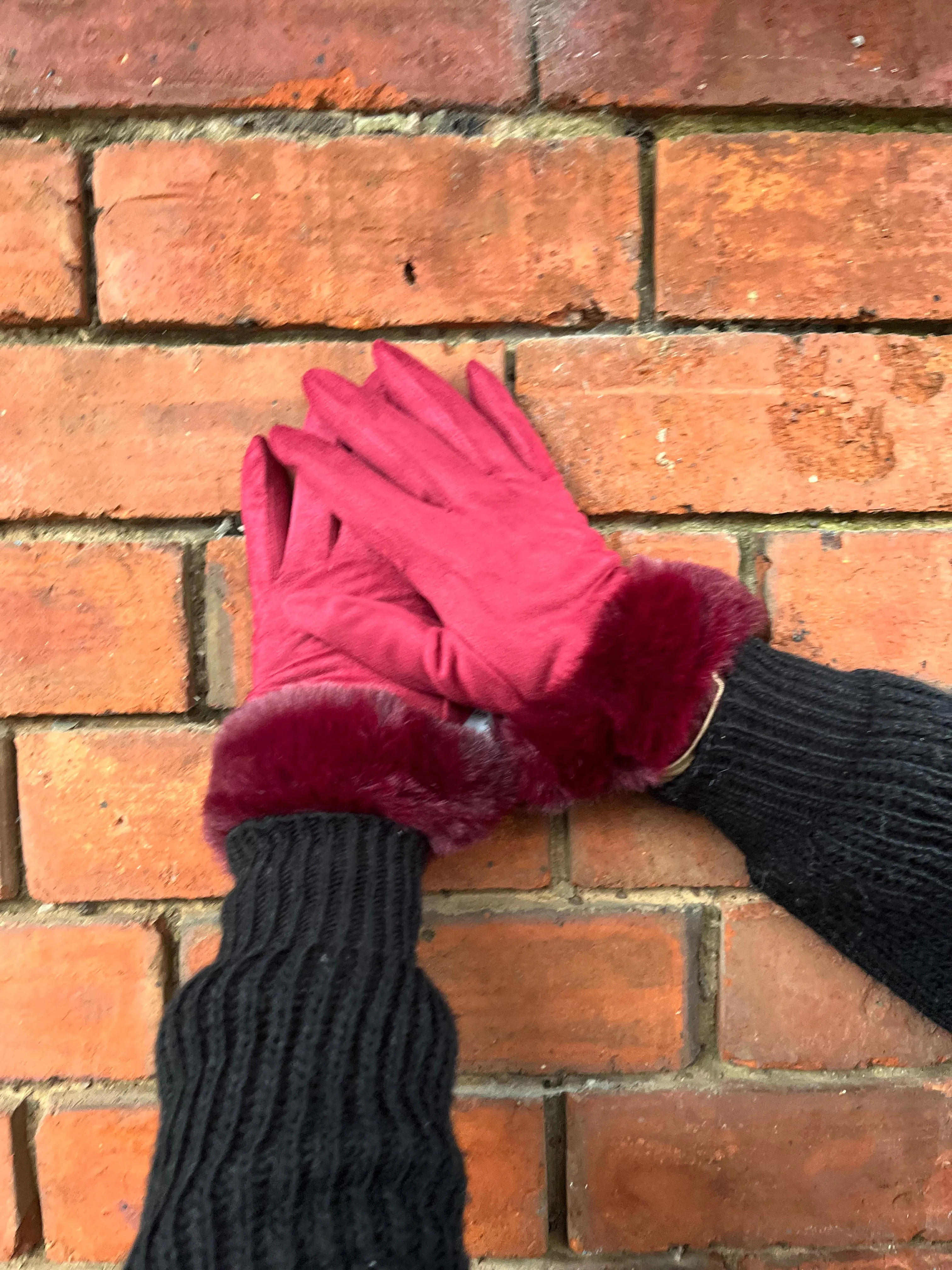 Fur Trim Gloves