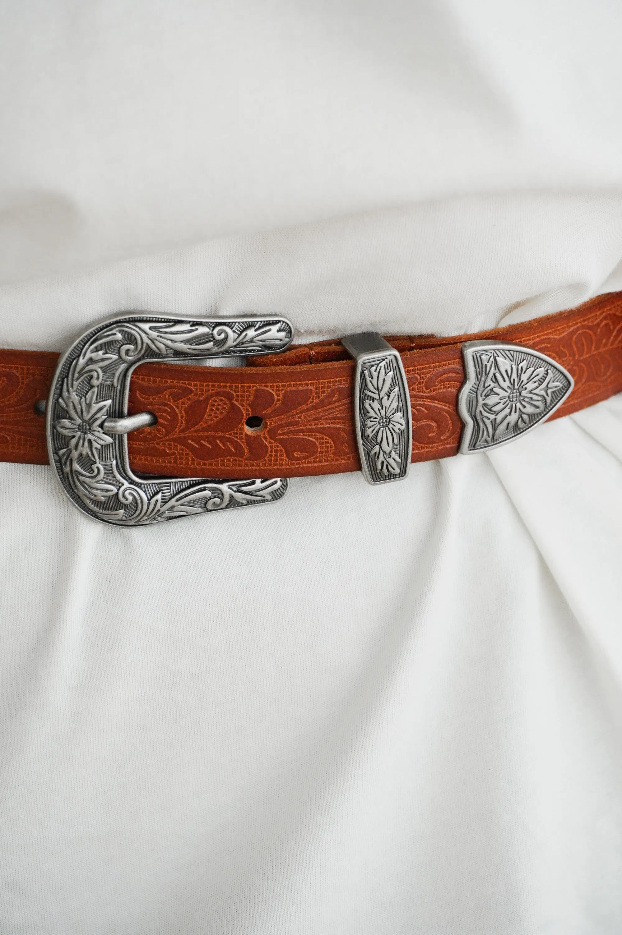 Oaxaca Belt